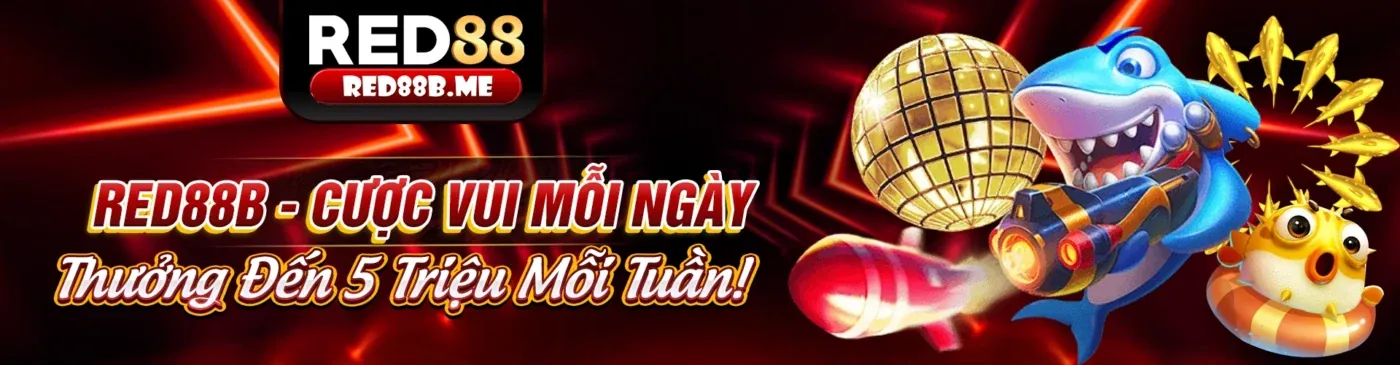 Hình ảnh tổng quan về acb888 chính thức, thể hiện sự chuyên nghiệp và uy tín